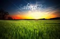 /album/fotogaleria-inicio/a315080-263991950288261-236561483031308-912929-1851399491-n-jpg/